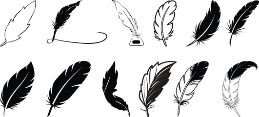 Set of detailed majestic feather collection. Bird Feather black silhouettes. Plumelet collection. Vector isolated on white.Detailed majestic feather collection. Feather Set icon,ethnic style set. © Asma
