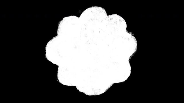 Hand drawn flower shape transition wipe animation, white scribble reveal with alpha channel, 4K