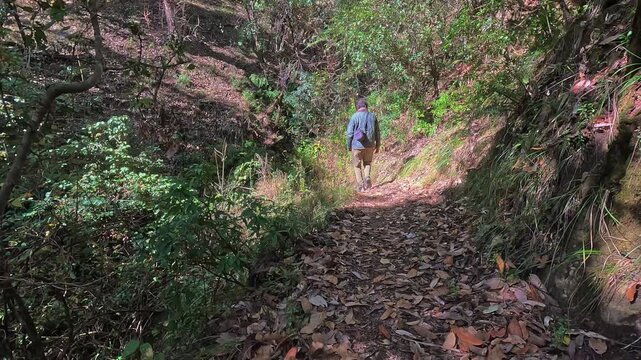Rear View Of Lone Male Hiker Trekking Through Dense Forest On Leafy Trail