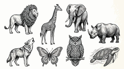 Vintage hand drawn wild animal vector set, engraved safari wildlife illustrations, black and white sketch collection for nature branding © chouadhrynuman