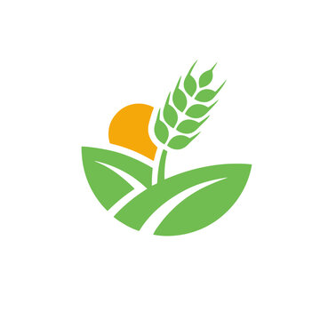 Wheat stalk and sun logo