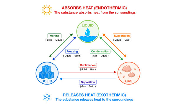 Thermodynamic infographic diagram illustrating endothermic and exothermic phase change transitions between solid liquid gas states, explaining matter enthalpy dynamics