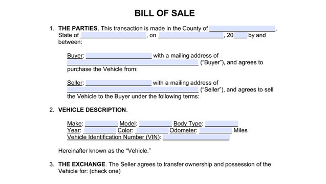Bill of Sale Form, color vector illustration