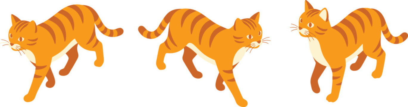 Walking Cat Isometric Vector Icon Premium Domestic Animal