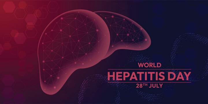 World Hepatitis Day - Red transparent liver with line connect link texture on dark red blue background vector design