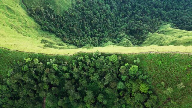 Mountain ridgeline separating dense tropical rainforest from rolling green highlands with lush forest canopy and untouched wilderness, lateral overhead aerial drone footage.drone footage