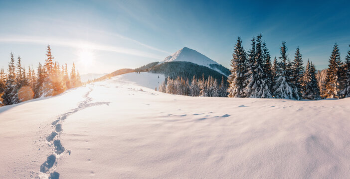 Breathtaking snow-covered mountain landscape with icy peak shining in the sun at dawn. Carpathians, Ukraine, Europe.