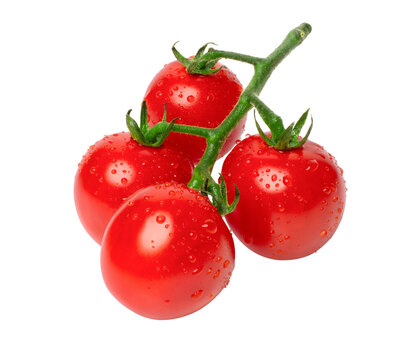 cherry tomatoes isolated on transparent png background