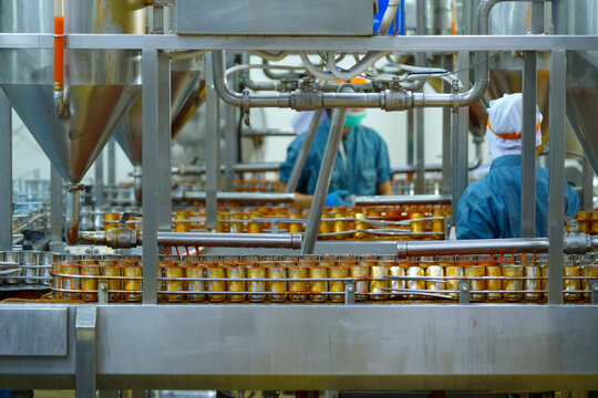Close-up of a food factory worker's hands sorting and checking food products on an automated industrial conveyor belt line during the canning production process in a hygienic facility.