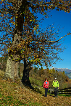 Couple hiking the Keschtnweg in South Tyrol during autumn