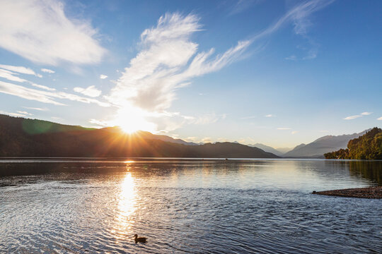 A duck swims in Lake Millstadt during sunset in Carinthia Austria