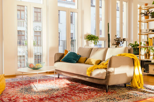 Living room area with Persian rug