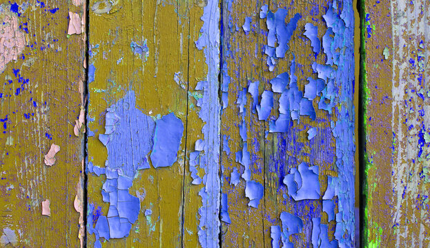 Textured wooden background, rustic texture of peeling blue and yellow oil paint on vertical wooden planks