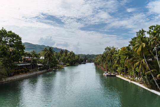 Scenic view of a wild green river and jungle in Bohol Philippines