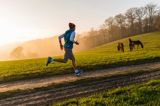 Young man jogging in the morning, horses in the background