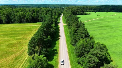 Naklejka premium Aerial view of a single vehicle driving along a winding road between lush green fields and forests