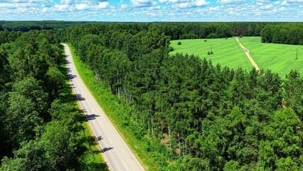 Naklejka premium Aerial view of a winding asphalt road surrounded by lush green trees and fields under blue skies