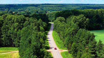 Naklejka premium Curving asphalt road lined with dense green trees under a clear blue sky in summer