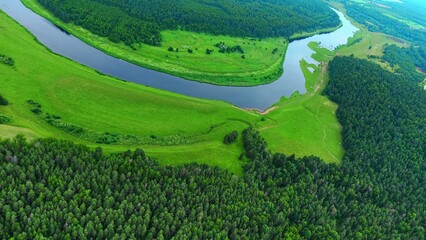 Fototapeta premium Green forest and riverbank with vibrant grass near flowing river under clear blue sky