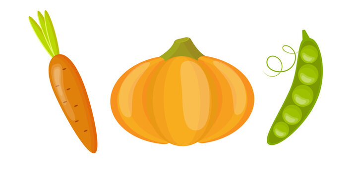 Fresh organic vegetables set with orange pumpkin carrot and green pea pod isolated on white background