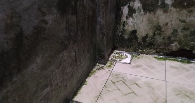 Aerial View of a concrete structure wal.