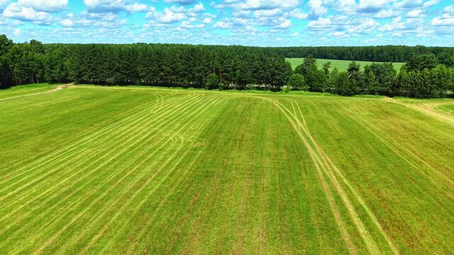 Freshly mowed grass lines across the expansive green field bordered by tall trees under a bright sky