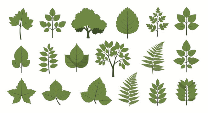 Set of 15 green foliage symbols featuring various leaf shapes, fern fronds, and stylized trees isolated on white background. Botanical vector icons for nature and environmental designs.