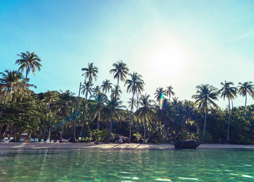 tropical paradise island