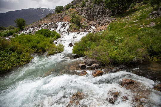 Munzur Springs in Ovacik, Tunceli, Turkey with Crystal Clear Water, Lush Greenery and Scenic Mountain Nature