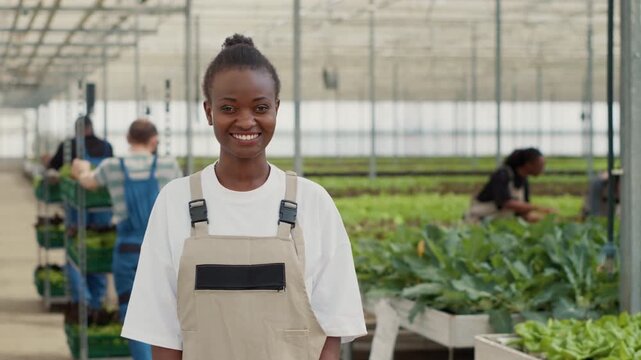 Professional portrait of African American woman posing happy in organic crops and vegetables farm while diverse, showing professional greenhouse work and organic farming in organic food production.