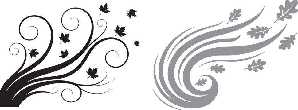 Stylized wind swirls and blowing autumn leaves vector illustration with black and grey decorative scroll elements and leaf silhouettes