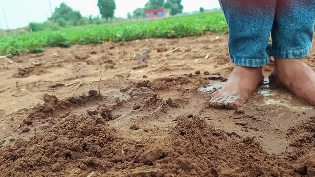 Close up of Barefoot Person or Farmer Stepping in Wet Mud and Puddle in Agricultural Field
