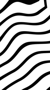 Vertical zebra animation featuring multiple black parallel wavy lines creating modern patterns.