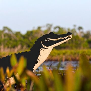 Close up of a black and white snake in grass.