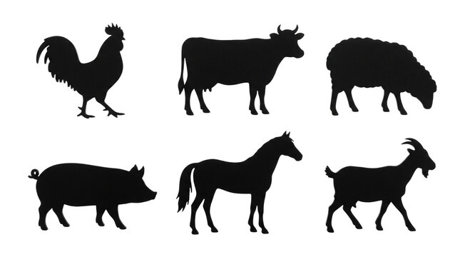 Six distinct black silhouettes of farm animals including a rooster cow sheep pig horse and goat displayed in a professional grid format for graphic design projects on transparent background.
