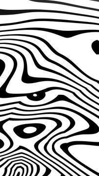 Vertical zebra animation features black white wavy flowing organic patterns and lines.