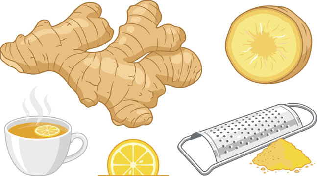 Fresh organic ginger root vector illustration set with round slice hot ginger tea cup with lemon metal grater and ground spice pile isolated on white background