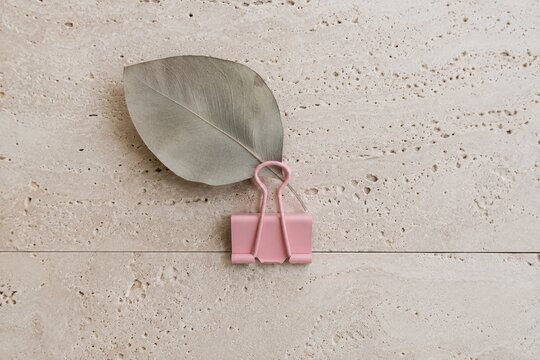 pink clips leaf