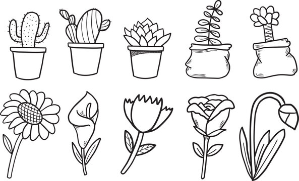 Cute flower and cactus doodle clipart set. Hand drawn botanical elements vector illustration isolated on white background.