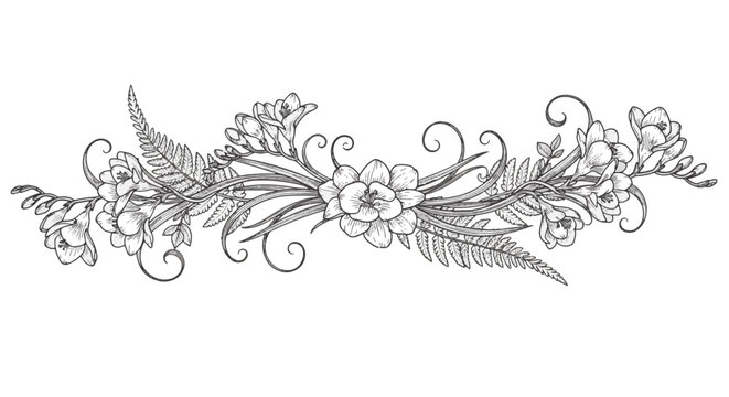 Hand-drawn horizontal botanical border illustration featuring detailed freesia flowers, fern leaves, and elegant swirling vines in black line art on a white background for invitations.