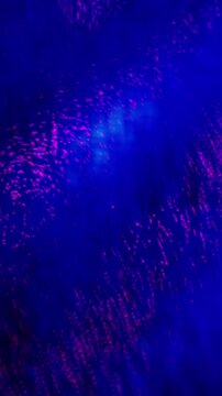 Abstract blue and pink particles flowing in a digital cosmic nebula