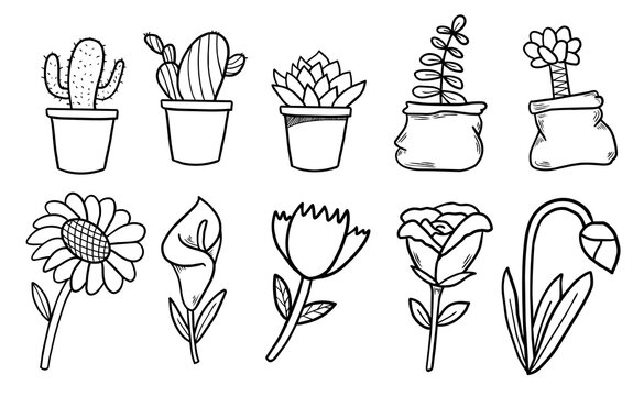 Cute flower and cactus doodle clipart set. Hand drawn botanical elements vector illustration isolated on white background.