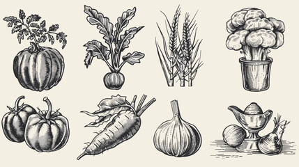 Obraz premium Vintage Ink Botanical Illustrations Of Mixed Garden Vegetables And Roots On Parchment Background
