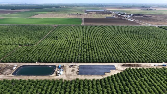 Vast orchard rows surround irrigation pond and solar panels near Chowchilla, California, with patchwork crop fields and distant buildings stretching across flat valley. Aerial drone lateral wide shot