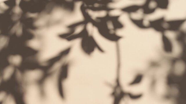 A beige wall with a moving shadow cast by tree leaves. A backdrop for a screensaver with sunlight.