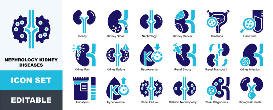Nephrology Kidney Diseases Icon Pack Featuring Kidney Stone, Nephrology, Cancer, Hematuria, Urine Test, Hypokalemia, Renal Biopsy