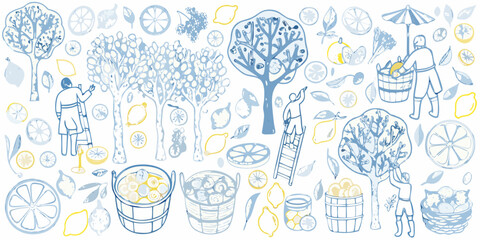 Lemon Harvest Illustration With Trees Fruit And Workers © Bijon