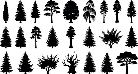 Pine tree and forest silhouettes collection coniferous and deciduous nature vector icons set © Shaharia Shaharia