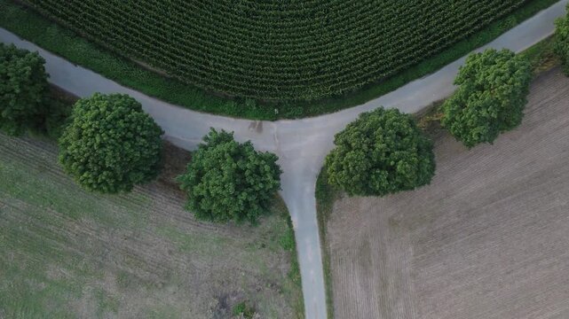 Aerial view of a countryside road junction in Dambach-La-Ville, France. Shot top-down by a drone the footage ascends and shows more of the surrounding fields and trees.