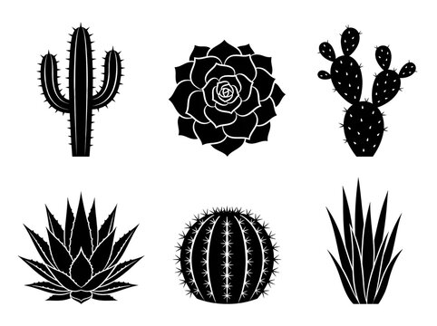 Detailed collection of six diverse black succulent plants and desert cacti silhouettes featuring sharp thorns and rounded leaves arranged in a clean grid pattern presented as vector icons on transpare